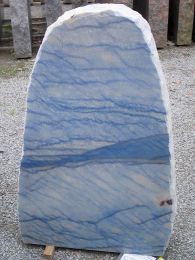 1911-825-Azul_Macauba.JPG