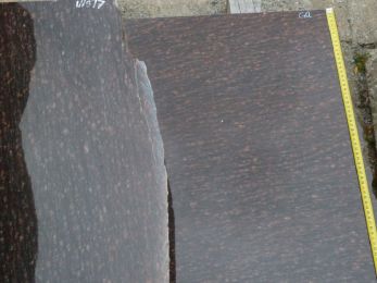 431T-Ruby_Star-IN0907.jpg
