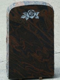 ORo169BT0-1920-251-Bararp_Rose.JPG