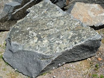 110FEB-Hohwald_Syenit_mit_Gruenstein_nah.JPG
