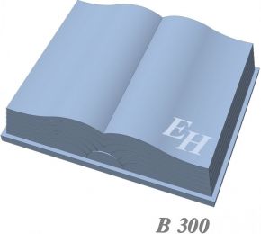 B 300.jpg