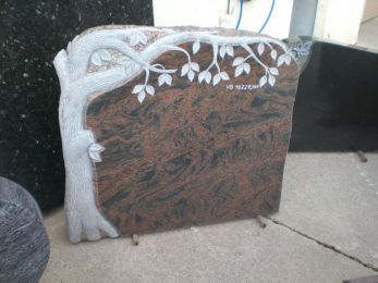 OBa013-9905-251-Bararp.JPG