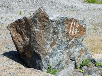 110FEB-Hohwald_Syenit-Spaltbrocken_.JPG