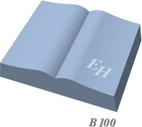 B 100.jpg