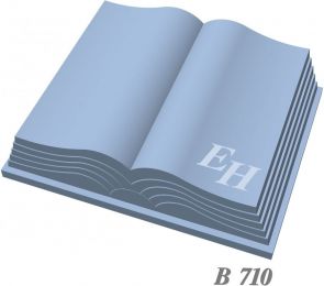 B 710.jpg