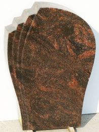 4250-393-Aurindi.jpg