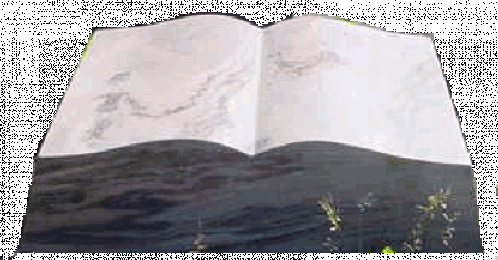 B100 Gitano.gif