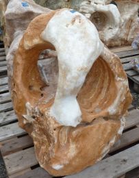 090-Onyx-Showstein-LgRO_5-12.jpg