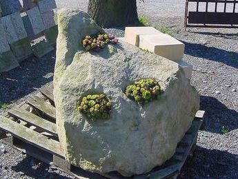 777-Zierblock+Pflanzloch(4)_80x80x80_roh2.JPG