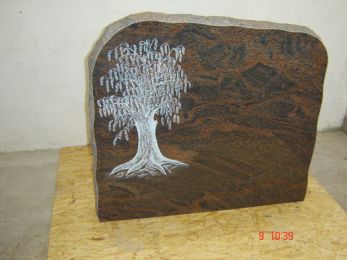 OBa029-9906-251-Bararp.JPG