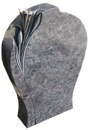 OLi017-5204.jpg