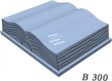 B 300 wellige Seiten.jpg