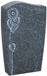 OSo 040 - 4010 Sora.jpg