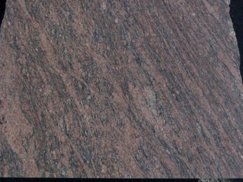 427T-Dalva_Rot_nah-MQ949-10.JPG